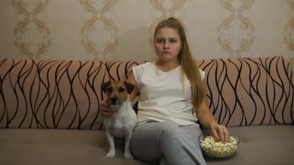 Mujer con perro viendo tv — Vídeos de Stock