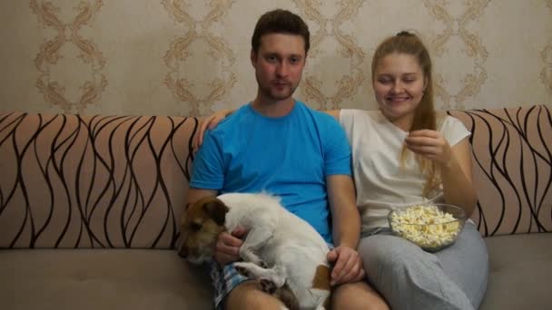 Couple avec chien regardant la télé. Joyeux couple — Video