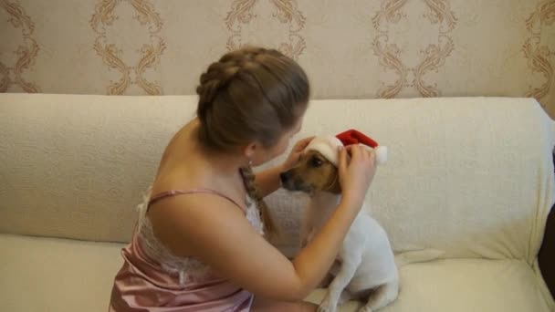 Een meisje brengt op hond hoed voor Kerstmis. 2018 year of the Dog. — Stockvideo
