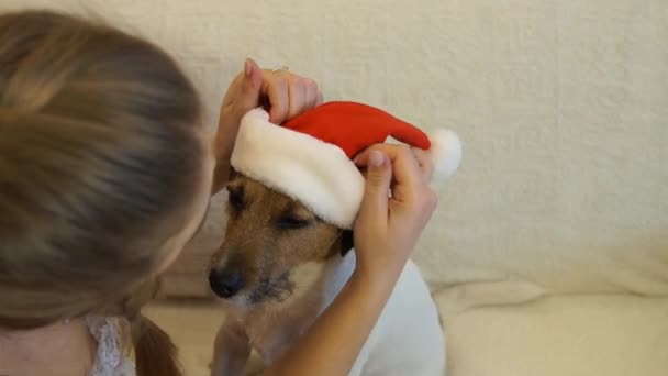 Ein Mädchen setzt zu Weihnachten Hundehut auf. 2018 Jahr des Hundes. — Stockvideo