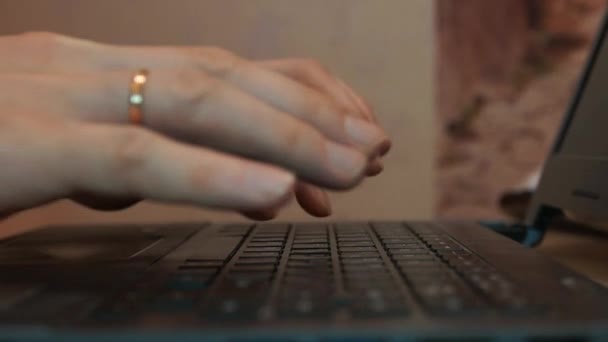 Man hands typing on a computer keyboard — Stok Video