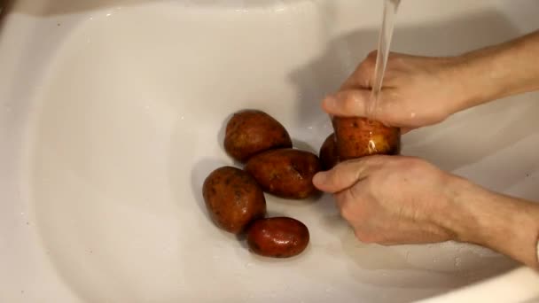Χέρια πλύσης πατάτες. Άνθρωπο πλύσεις πατάτες — Αρχείο Βίντεο