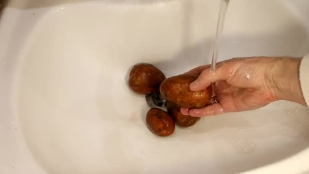 Руки миють картоплю. Чоловік миє картоплю — стокове відео