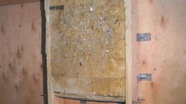 Uçan bıçak. Adam bıçak atıyor. Turnuva. Bıçak atma