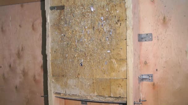 Couteau volant. L'homme lance le couteau. Tournoi. Couteau jetant 