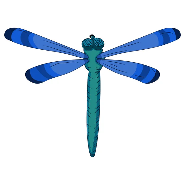 Libellula blu brillante. Disegno per bambini. illustrazione vettoriale. Disegnati a mano . — Vettoriale Stock