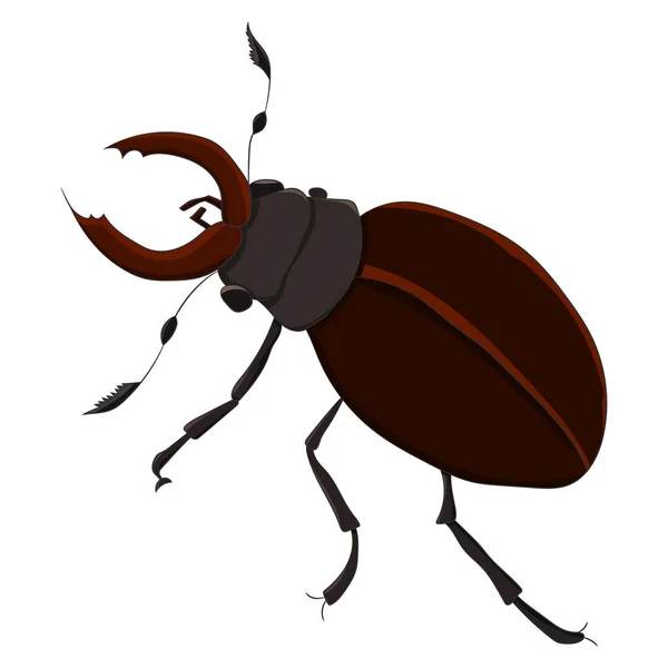 The horned beetle. vector illustration. Drawing by hand. Royalty Free Stock Illustrations