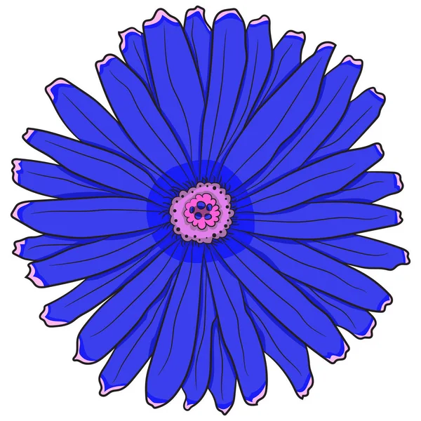 Gerbera bleue. Illustration vectorielle. Dessin manuel . — Image vectorielle