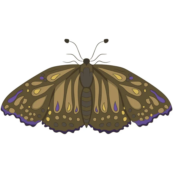 Bruin moth. vectorillustratie. Met de hand tekenen. — Stockvector