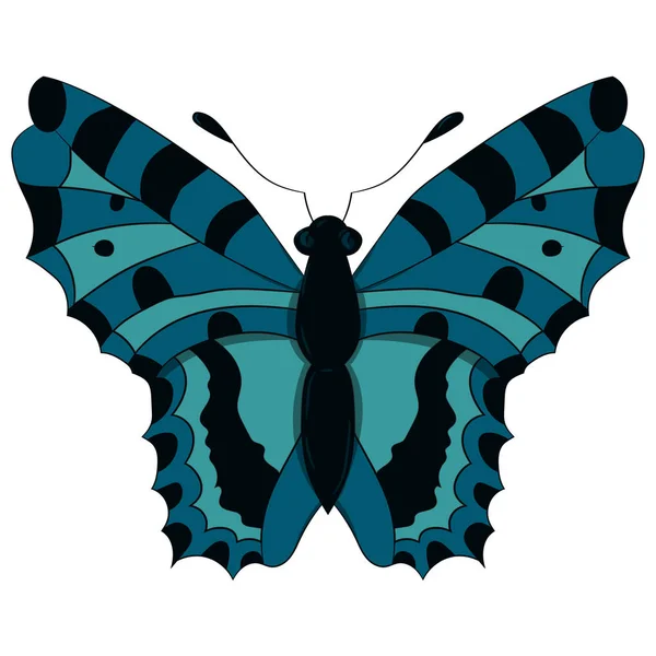 Blauwe vlinder. vectorillustratie. Met de hand tekenen. — Stockvector