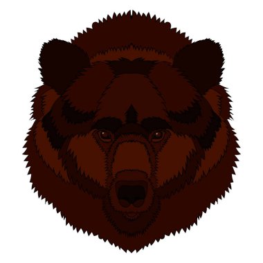 Bir ayı s kafa Illustration. Vektör grafikleri. El çizimi