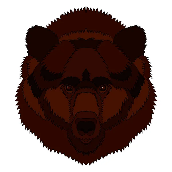 Illustration of a bear s head. Vector graphics. Hand drawing Vector Graphics