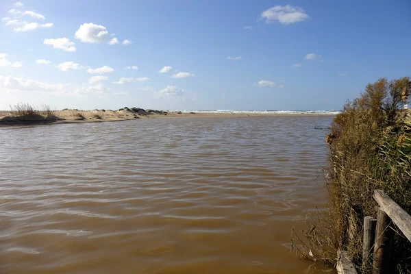 Nahal Alexander stream. — Stockfoto