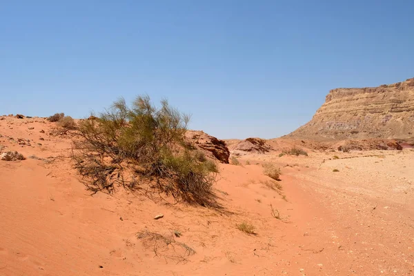Ardon-Berg in der Wüste Negev. — Stockfoto