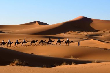 sahara Çölü'nde deve karavan.