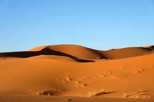 Sahara çöl kumulları. — Stok fotoğraf