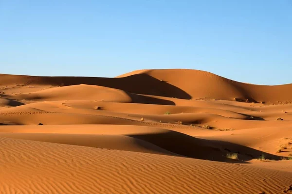 Sahara çöl kumulları. — Stok fotoğraf