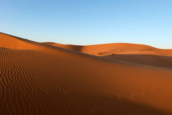 Kumul sahara Çölü'nde. — Stok fotoğraf