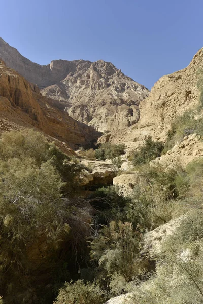 Judea desert landscape. — Stock Photo, Image