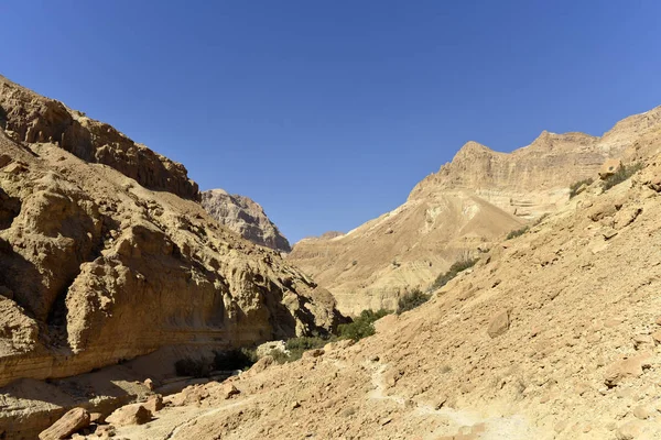 Judea desert landscape. — Stock Photo, Image