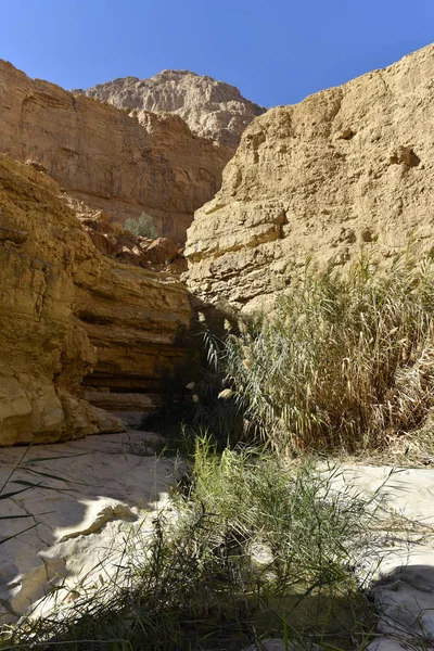 Paesaggio deserto della Giudea . — Foto Stock