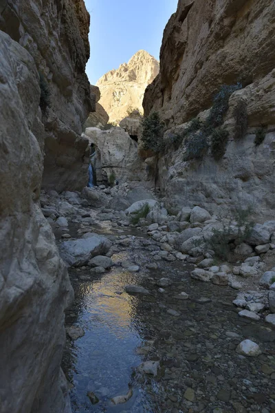 峡谷在朱迪亚沙漠绿洲. — 图库照片