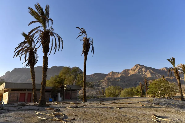 Abandoned beach at Dead Sea coast. — Stock Photo, Image