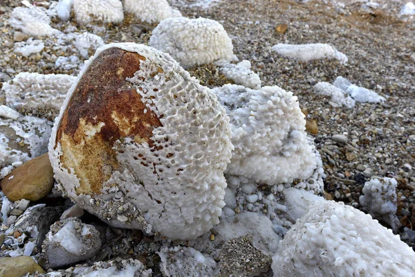 Stone on Dead Sea coast. — Stock Photo, Image