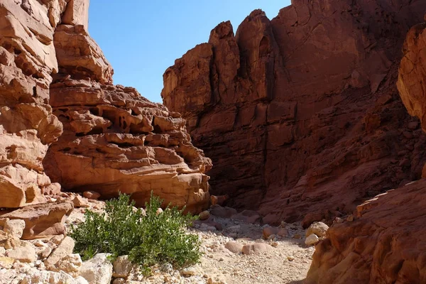 Schilderachtige wadi in Eilat bergen. — Stockfoto