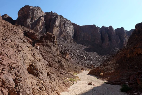 Eilat Dağları'nda doğal wadi. — Stok fotoğraf