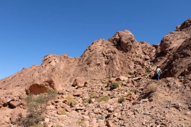 Timna Park kayalık manzara.