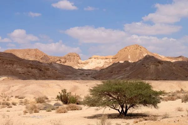 Negev desert scenic landscape. — Stock Photo, Image