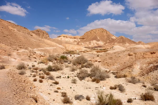 Negevská poušť malebná krajina. — Stock fotografie