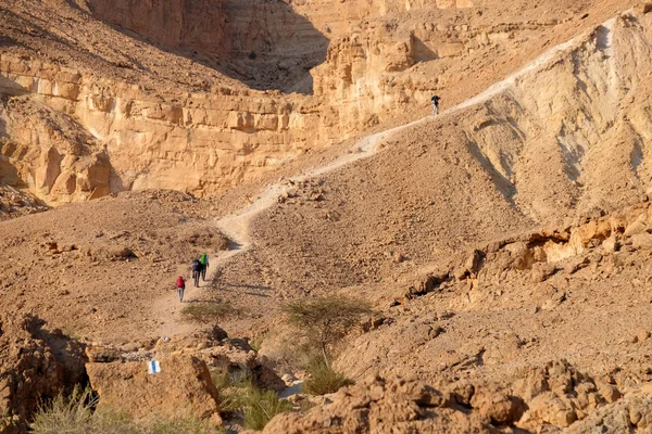 Necef Çölü'hiking. — Stok fotoğraf