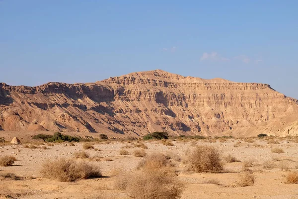 Krajobraz pustynia wadi Negev. — Zdjęcie stockowe