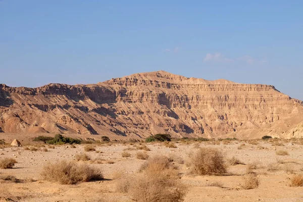 Negev öken wadi landskap. — Stockfoto