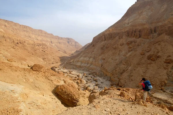 Garganta de Zeelim en el desierto de Judea . —  Fotos de Stock