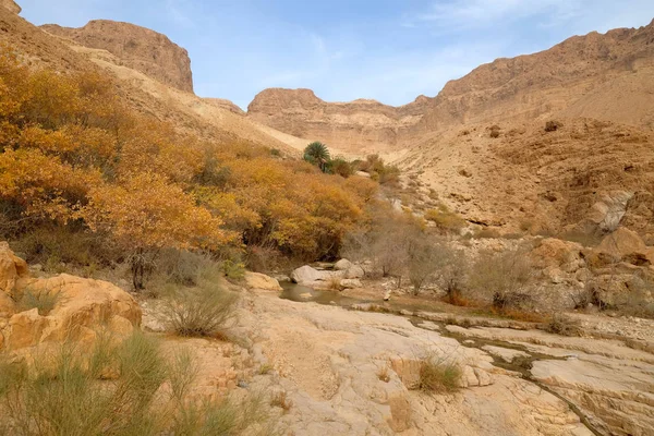 Пустынный горный ландшафт Иудеи . — стоковое фото