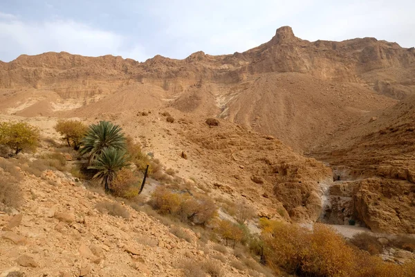 Judea desierto montaña paisaje . — Foto de Stock