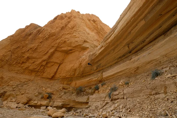 Wspinacz z suchym wodospad rappelling. — Zdjęcie stockowe