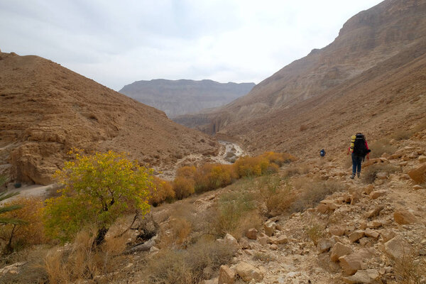 Desert wadi in Judea mountains.