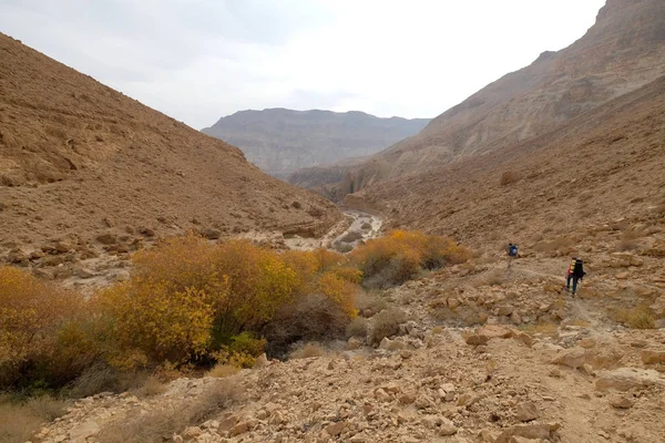 Woestijn wadi in Judea bergen. — Stockfoto