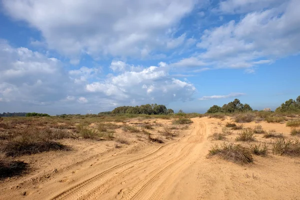 Lente landschap in Israël. — Stockfoto