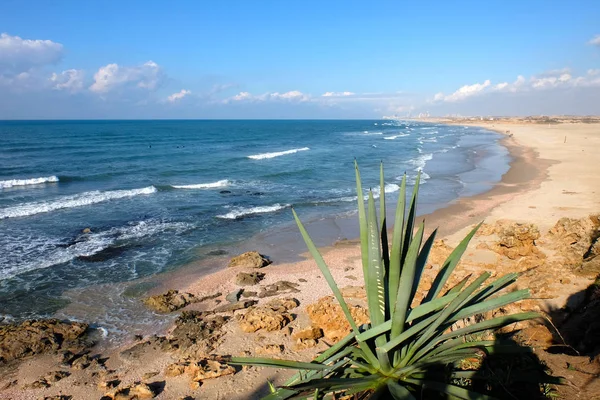 Praia de Palmachim em Israel . — Fotografia de Stock