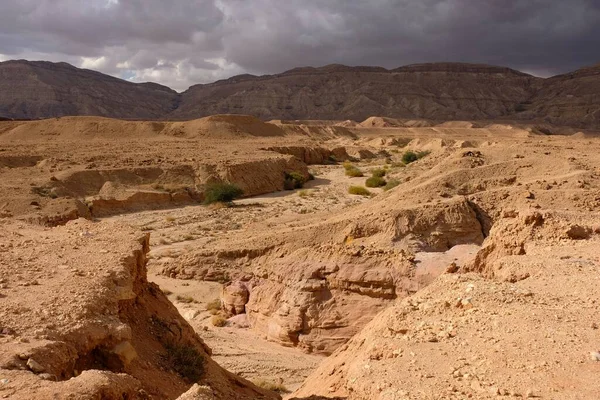 Negev desert landscape in Israel. — Stok fotoğraf