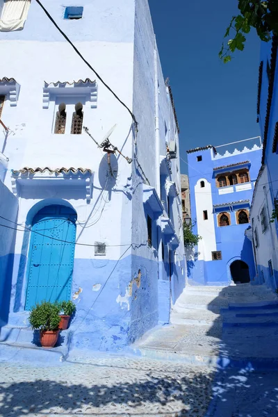 Blå Målad Mysig Gata Gamla Bostadsområdet Chefchaouen Marocko — Stockfoto
