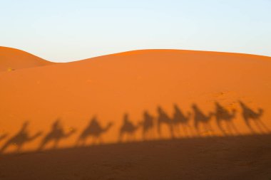 Sahra Çölü, Fas 'taki kum tepelerinden geçen deve kervanının gölgeleri..