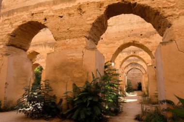 Fas 'taki Meknes Kraliyet Ahırları' nın eski yıkılmış kemerleri..