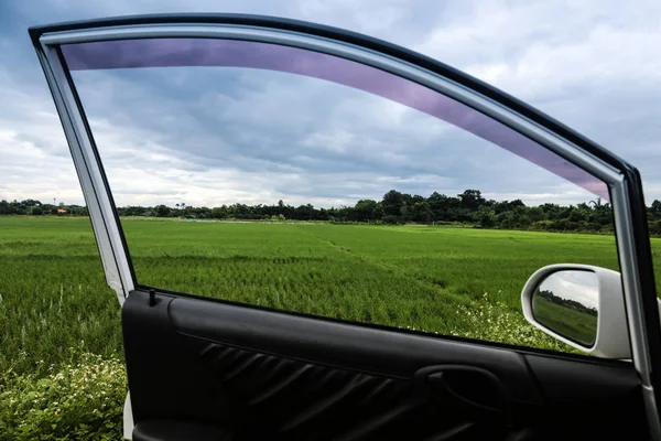 Foto de um exuberante prado verde e belo céu. Vista da porta do carro. Conceito de liberdade e sonho . — Fotografia de Stock
