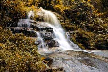 Sonbaharın güzel şelale. Güzel şelale peyzaj.
